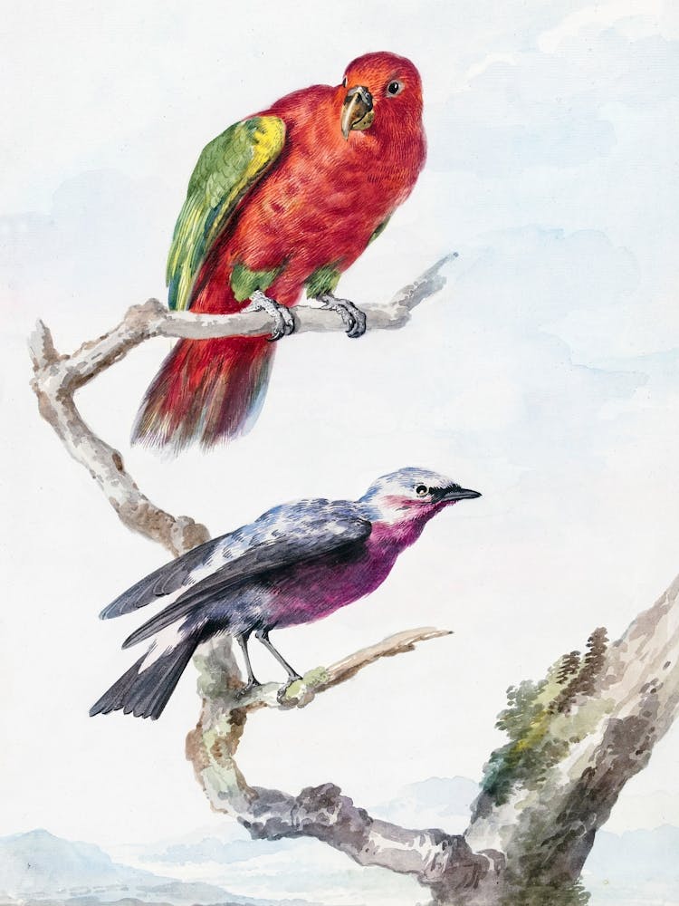 Colorful Vintage Bird_2835725