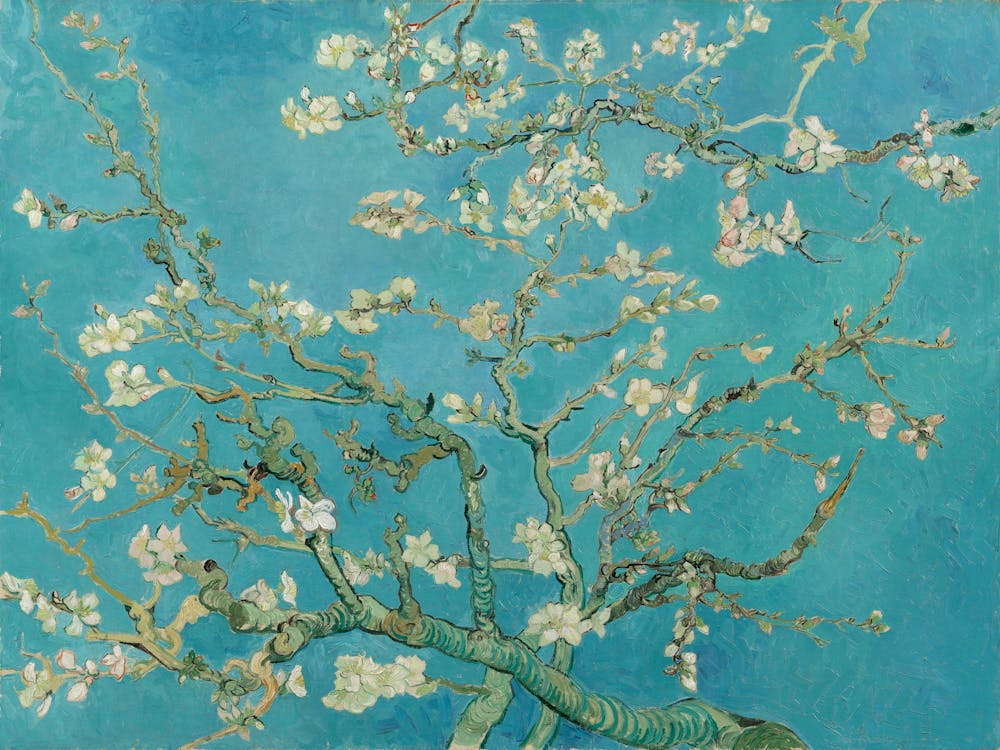 Vincent Van Gogh , Amandelbloesem, Almond Blossom, 1890.