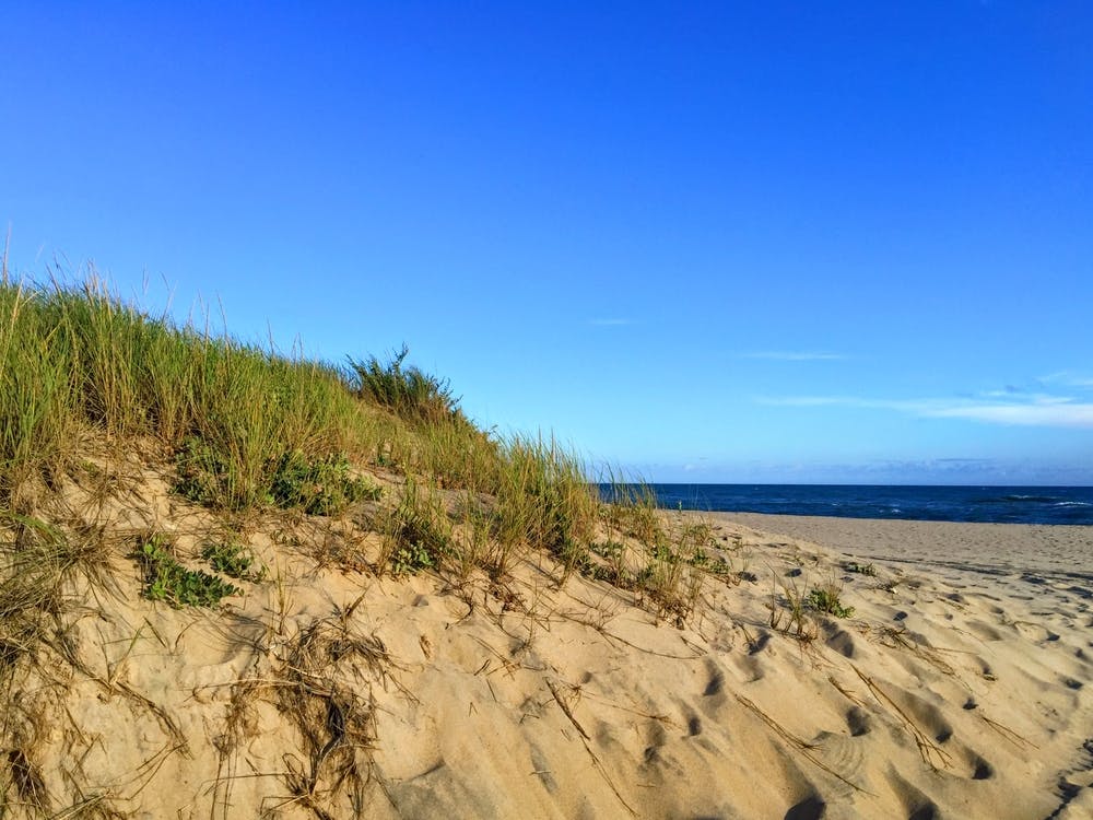 Sand Dunes (Martha’s Vineyard Series)