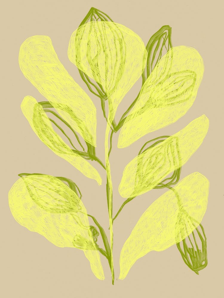 Color bloom no 17 1