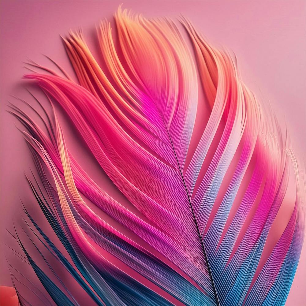 Pink Feather