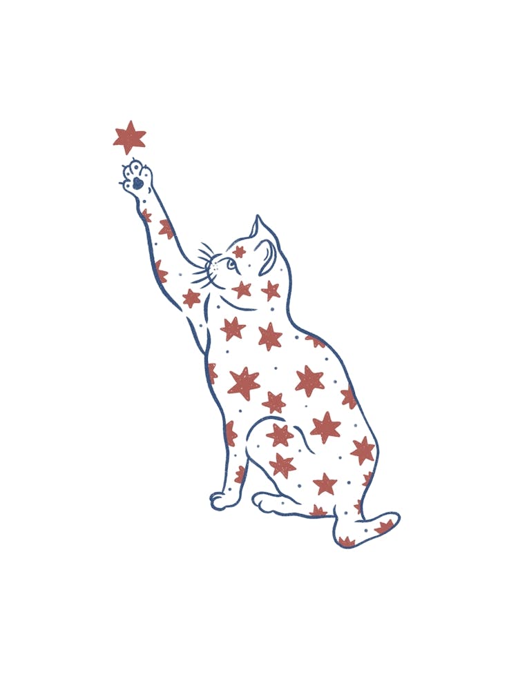 Funny Cat Print