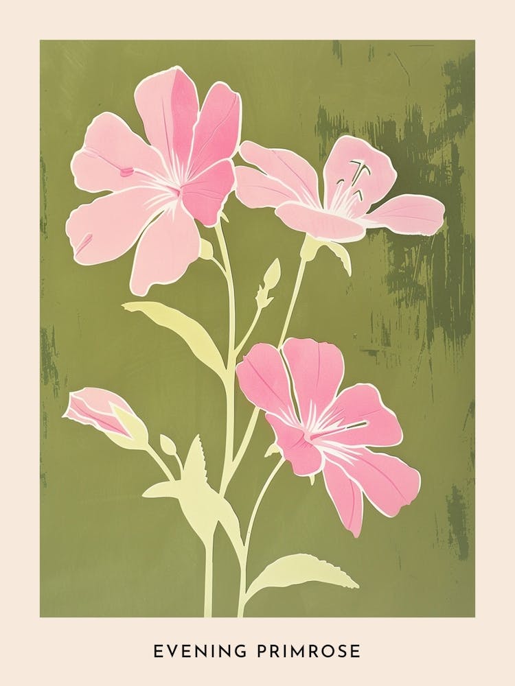 Pink & Green Evening Primrose 2 Flower Poster