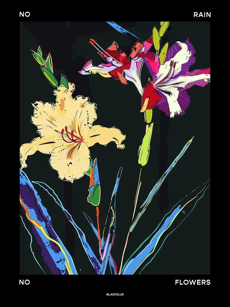 No Rain No Flowers Poster Gladiolus 3