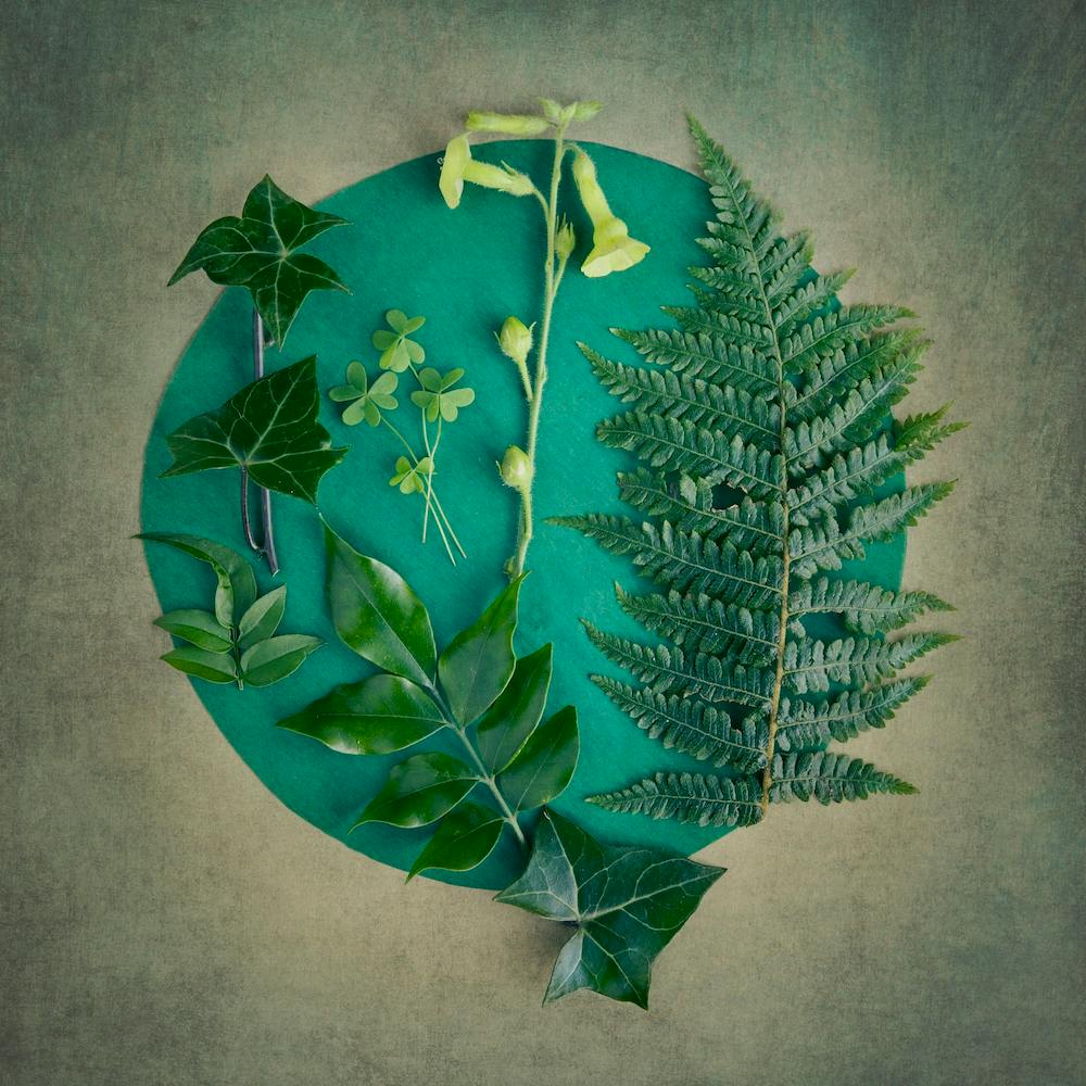 The Secret Garden Emerald