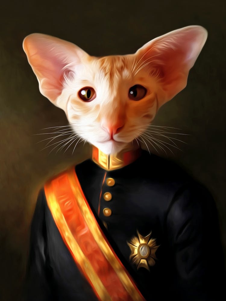 Lucca The Asian Cat Pet Portraits