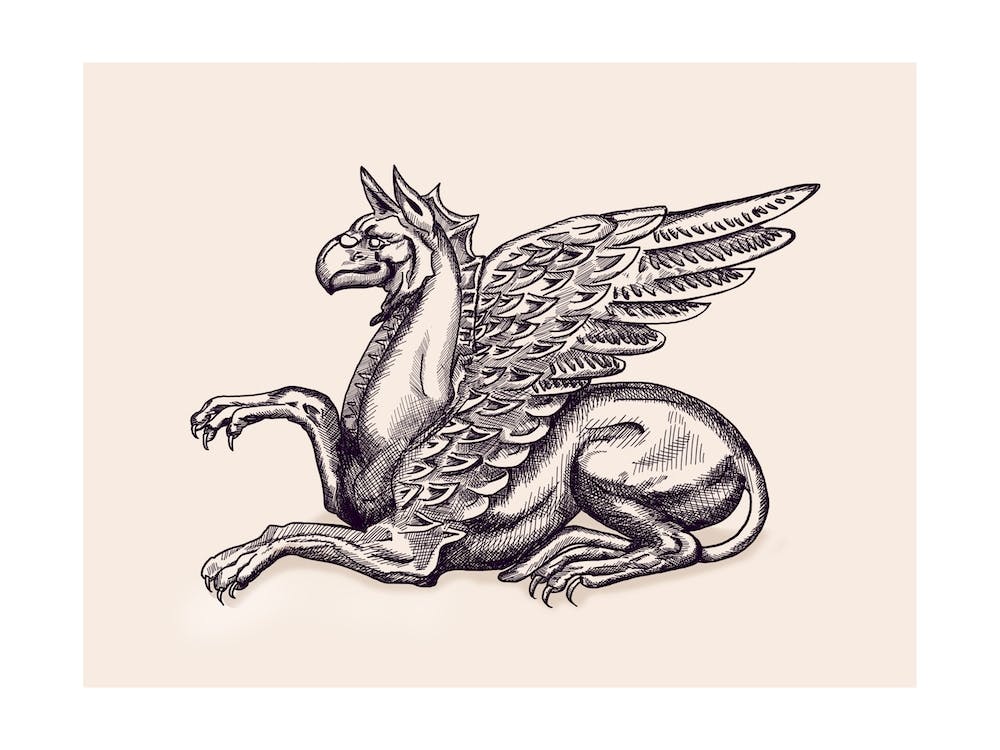 Griffin 