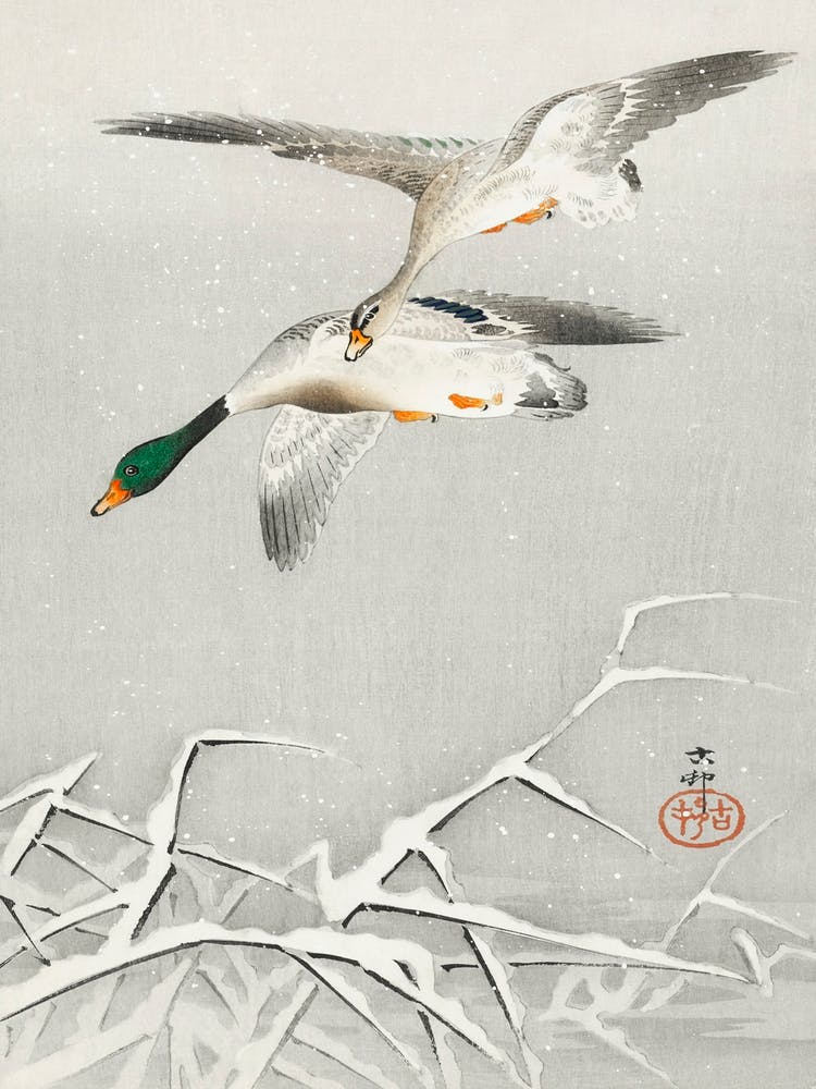 Two Wild Ducks In Flight (1900 1936), Ohara Koson