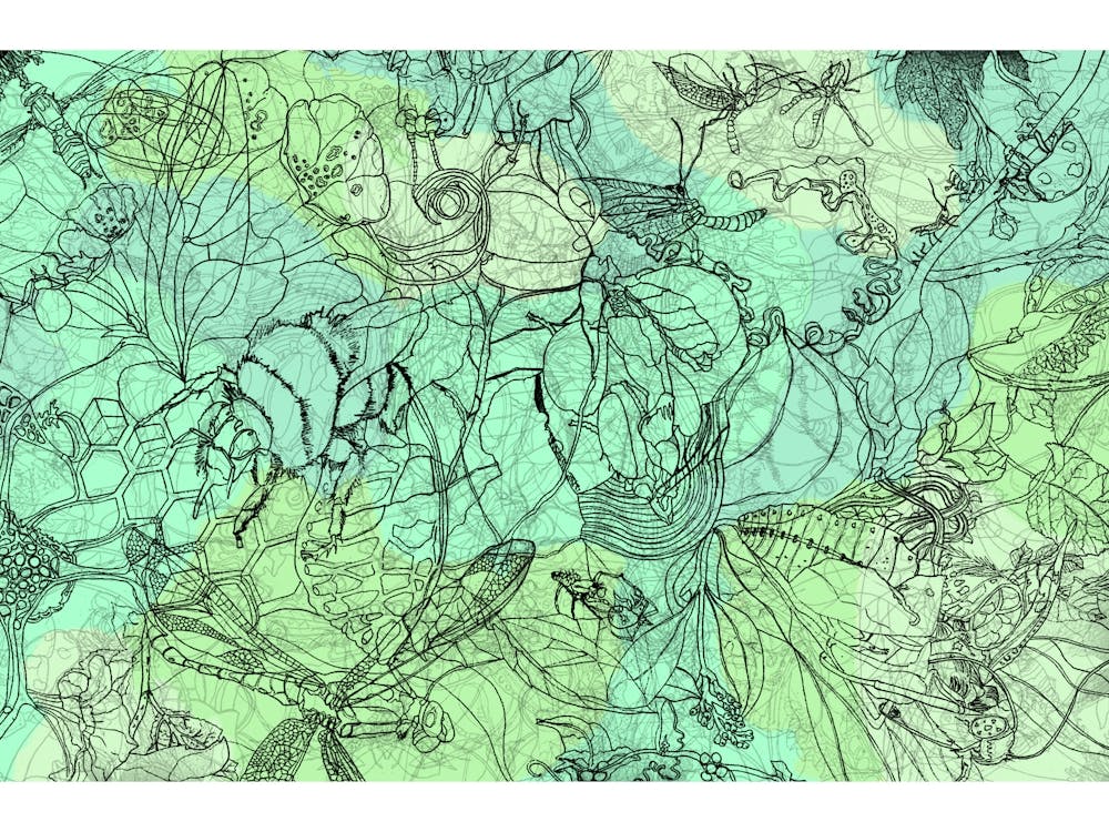 Insects