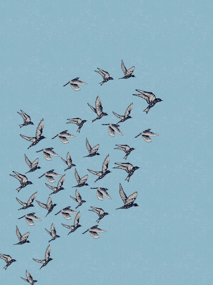 Blue Bird Flock Print