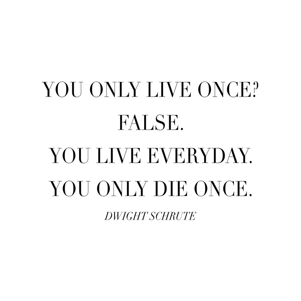 You Only Die Once Dwight Schrute Quote