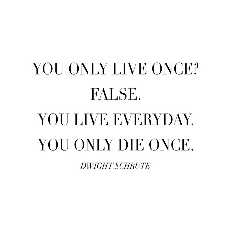 You Only Die Once Dwight Schrute Quote
