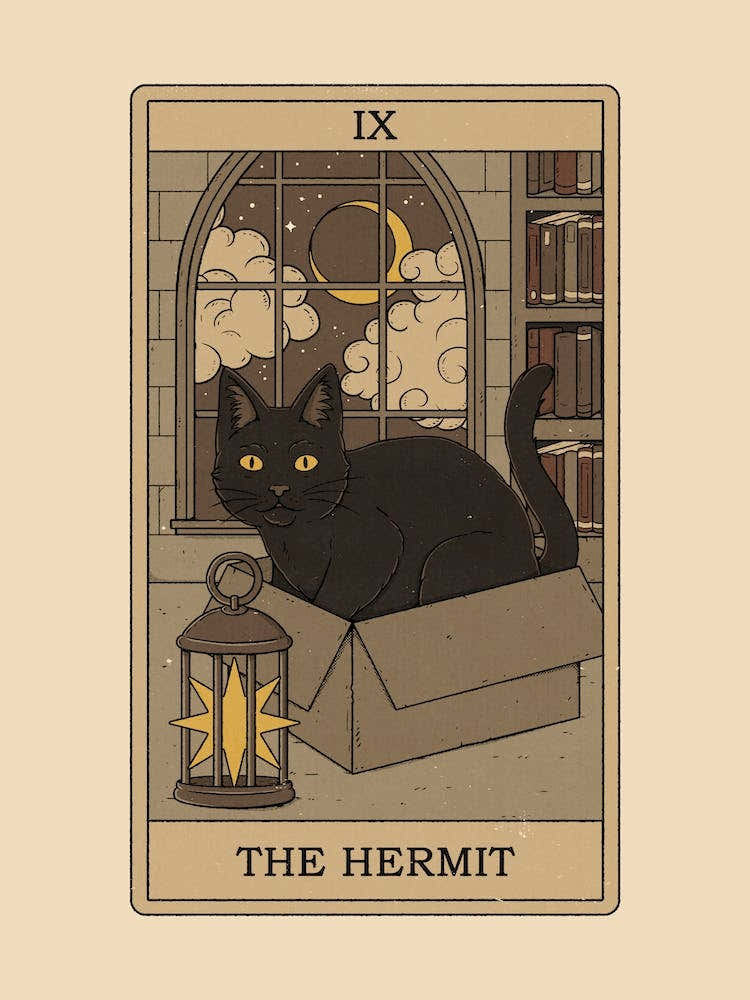 The Hermit   Cats Tarot