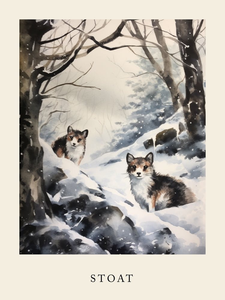 Winter Watercolour Stoat 2 Poster