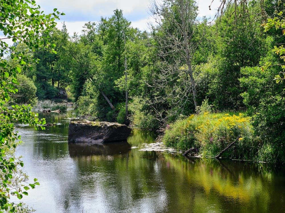 Zweden23 08 21705+Gpl20972