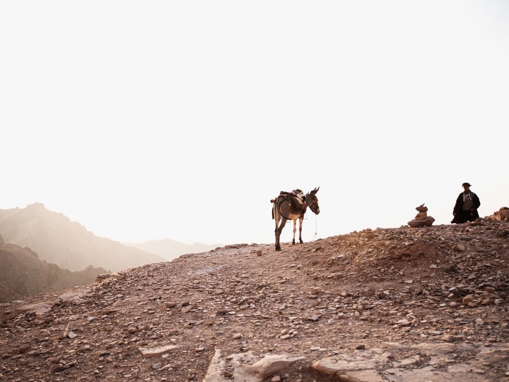 Jordan, Bedouin with it's donkey on a hill in Petra