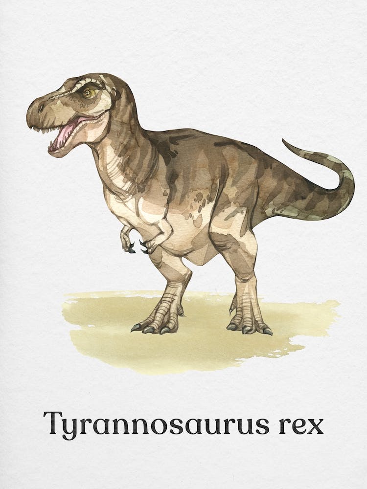 Tyrannosaurus Rex