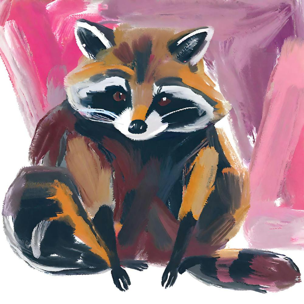 Raccoon 11