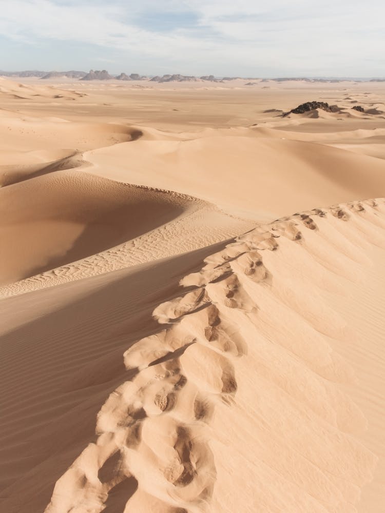 Walking through the Sahara desert