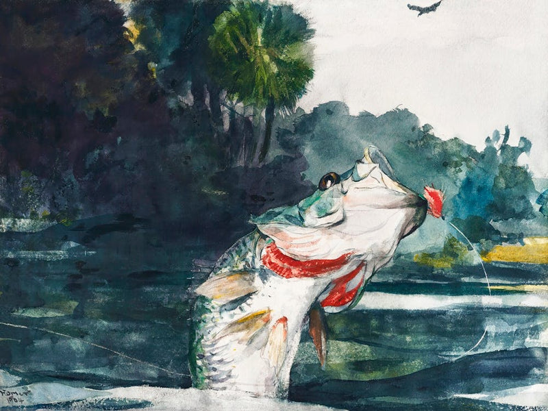 Life Size Black Bass (1904), Winslow Homer