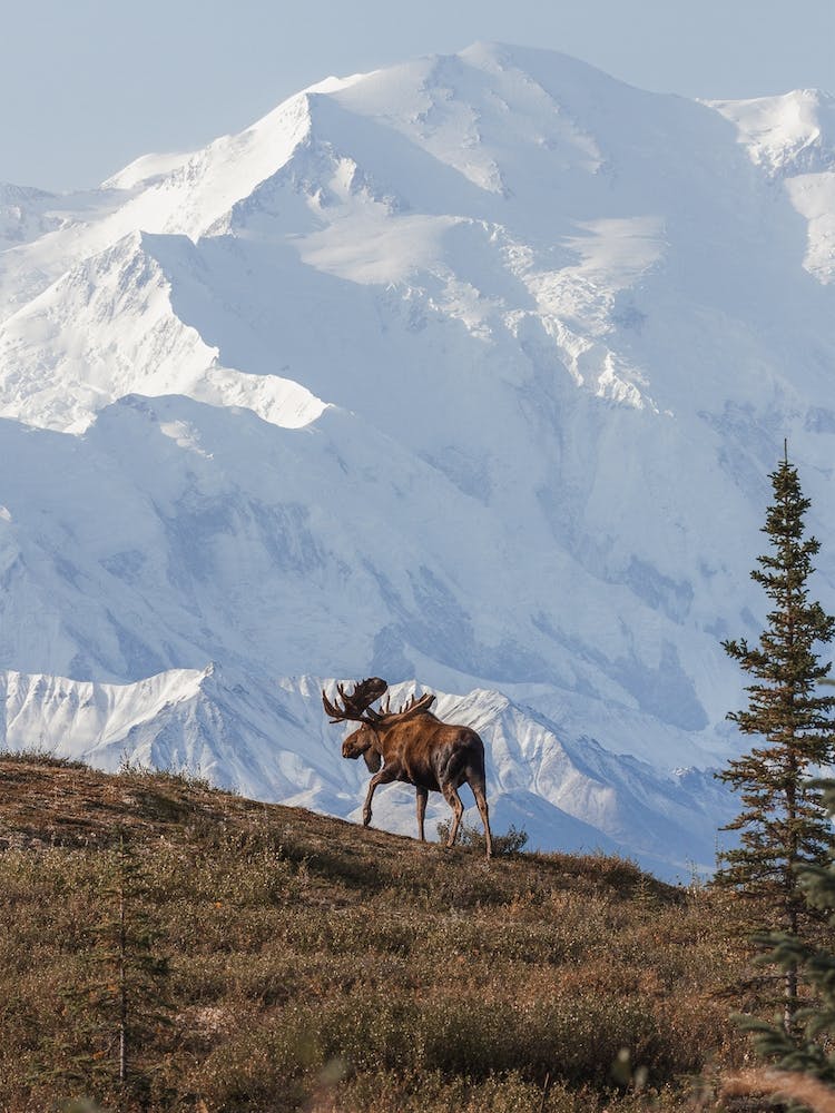 Grand Mountain Views