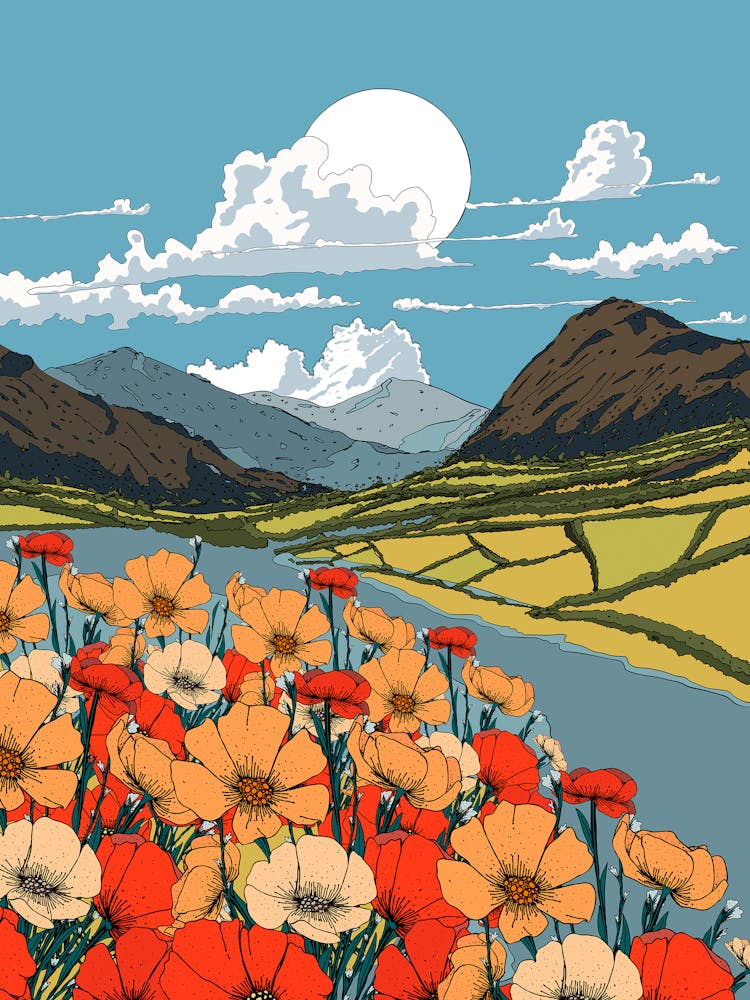 Poppies In The Field 3