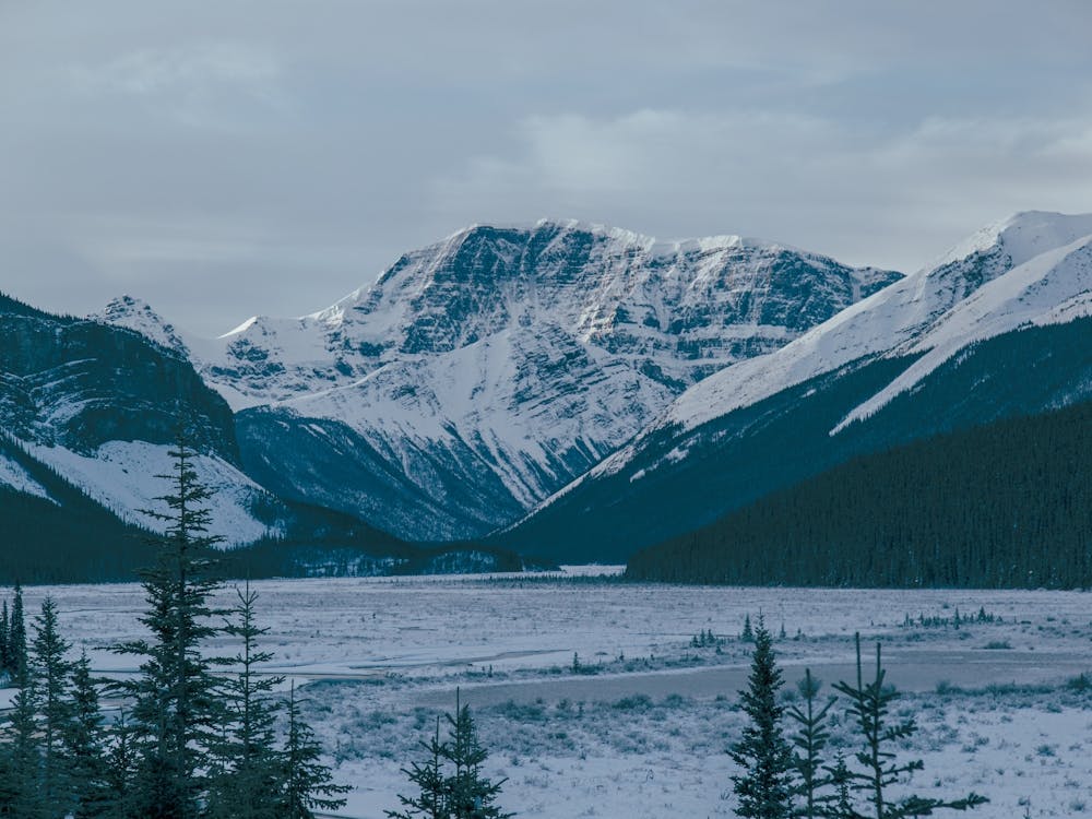 Winters Ago