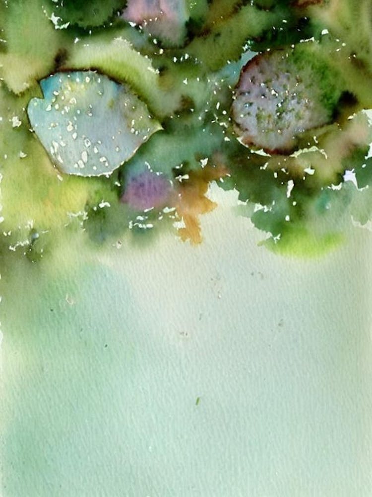 Abalone Storybook Watercolour