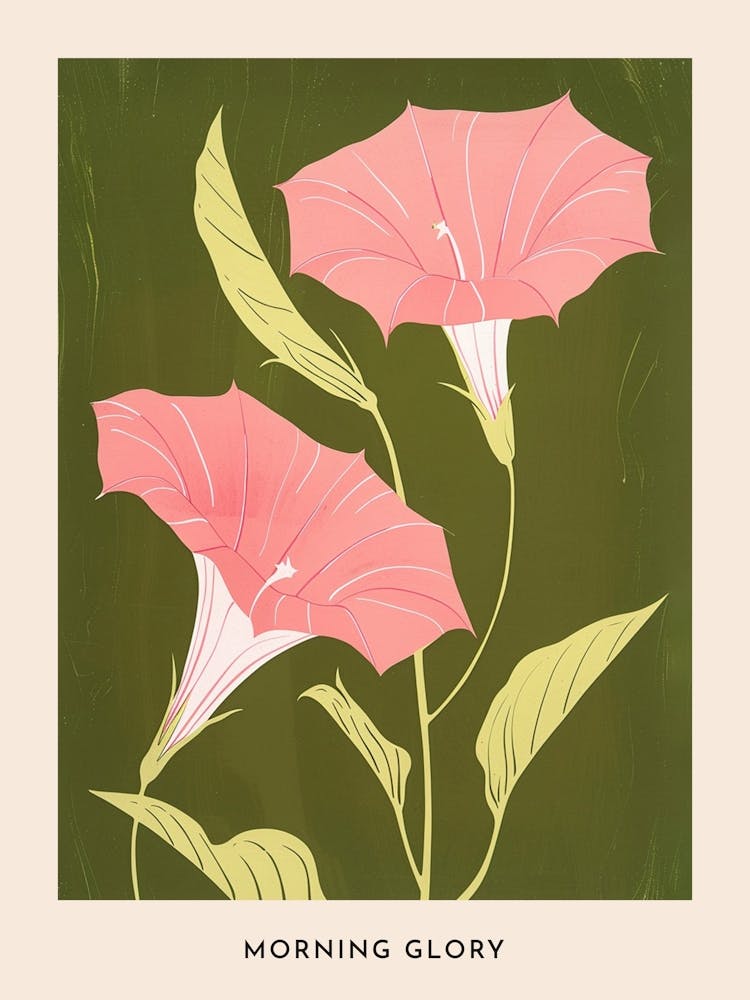 Pink & Green Morning Glory 4 Flower Poster