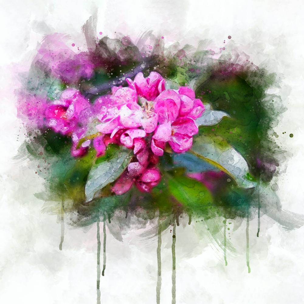 Flowers watercolor 5