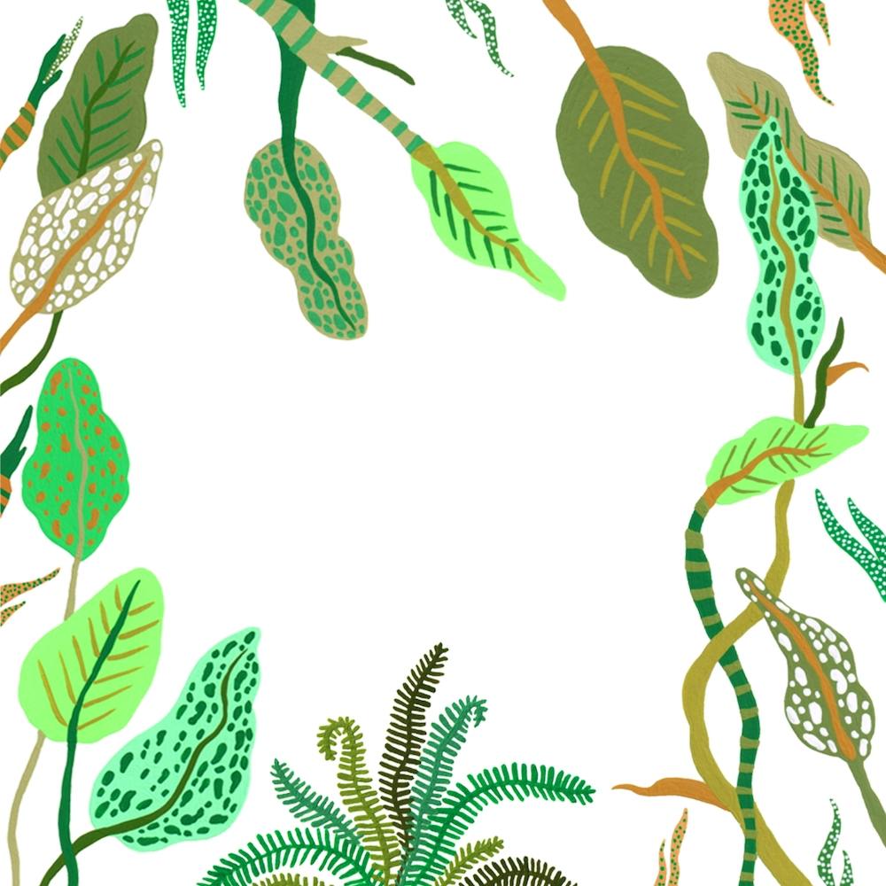 Plant Dreams