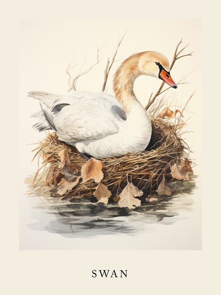Beatrix Potter Inspired  Animal Watercolour Swan 2