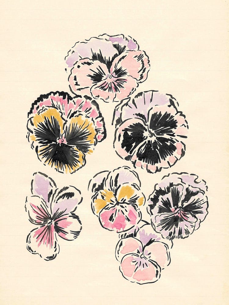 Watercolor Pansy Flowers