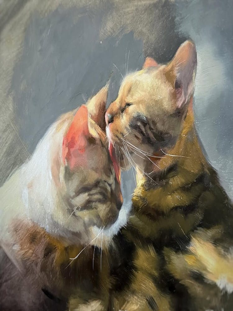 Zwei Katzen küssen sich