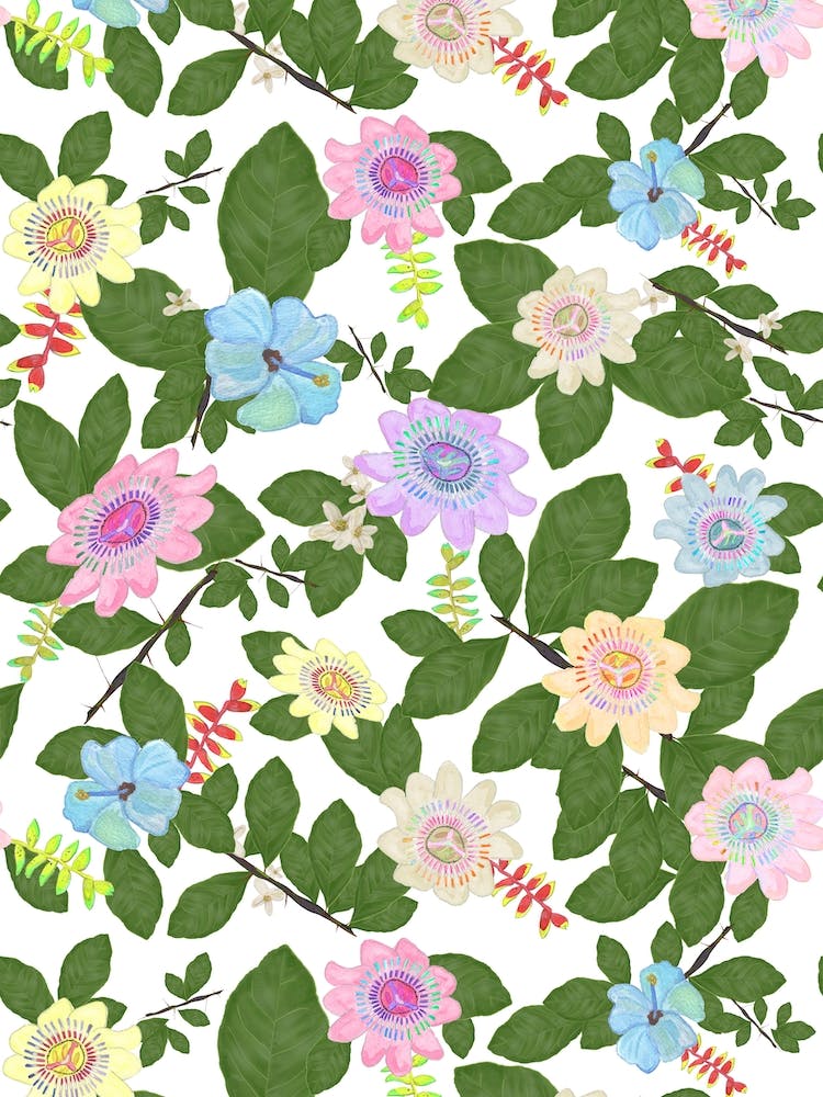 Passiflora Lily Flowers