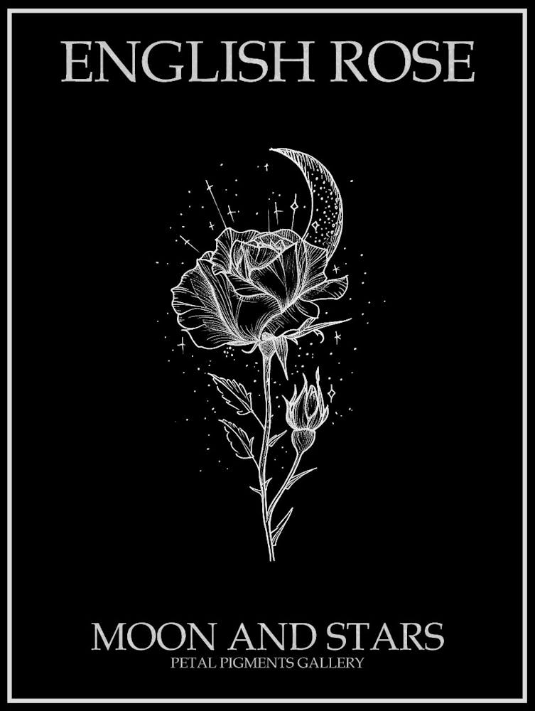 Englische Rose Mond und Sterne Strichzeichnung 3 Invertiertes Poster