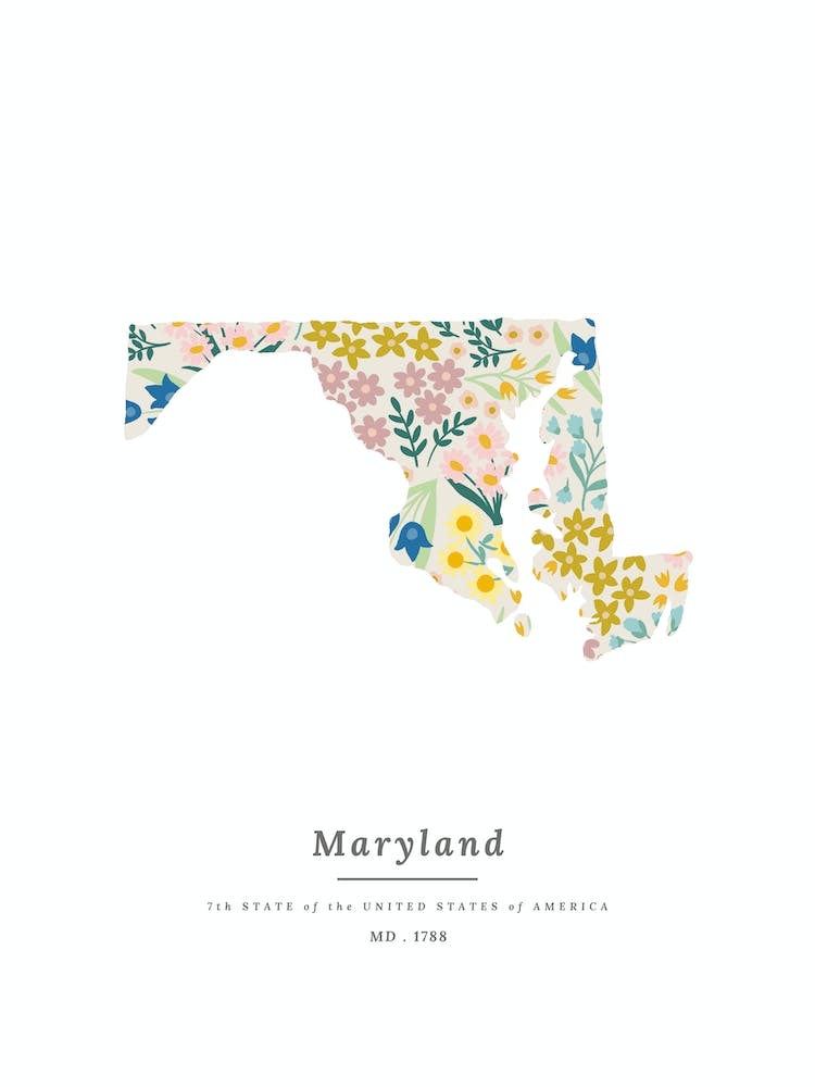 Maryland | Wildblumenmischung