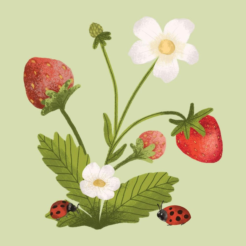 Woodland strawberry branch