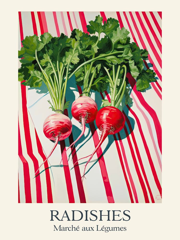Marche Aux Legumes Radishes Summer Illustration 3