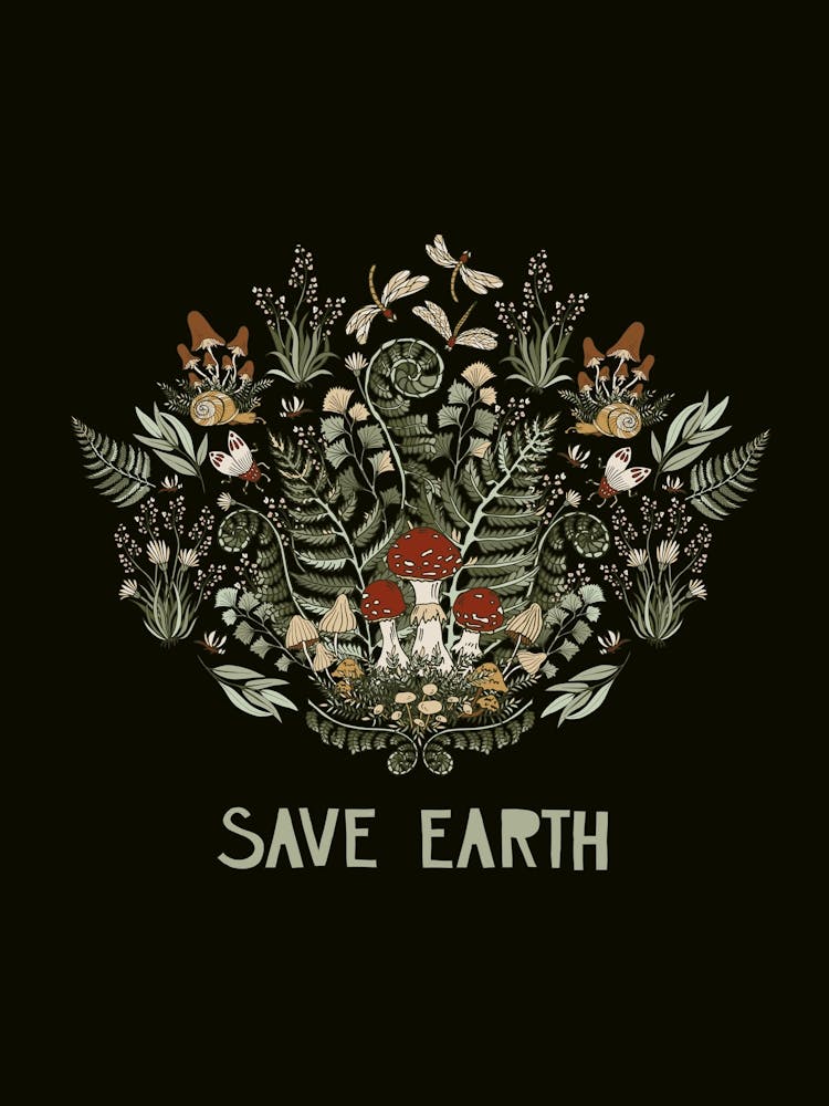Save Earth 1