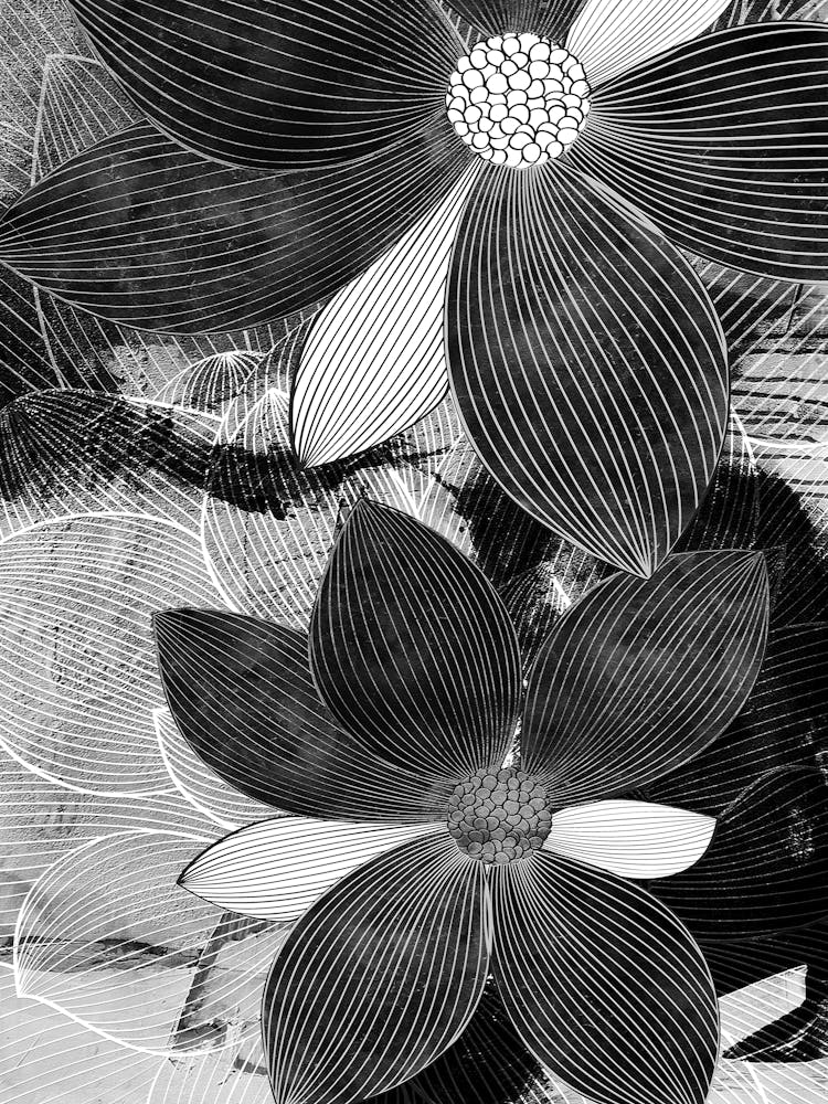 Black And White Flowers 90