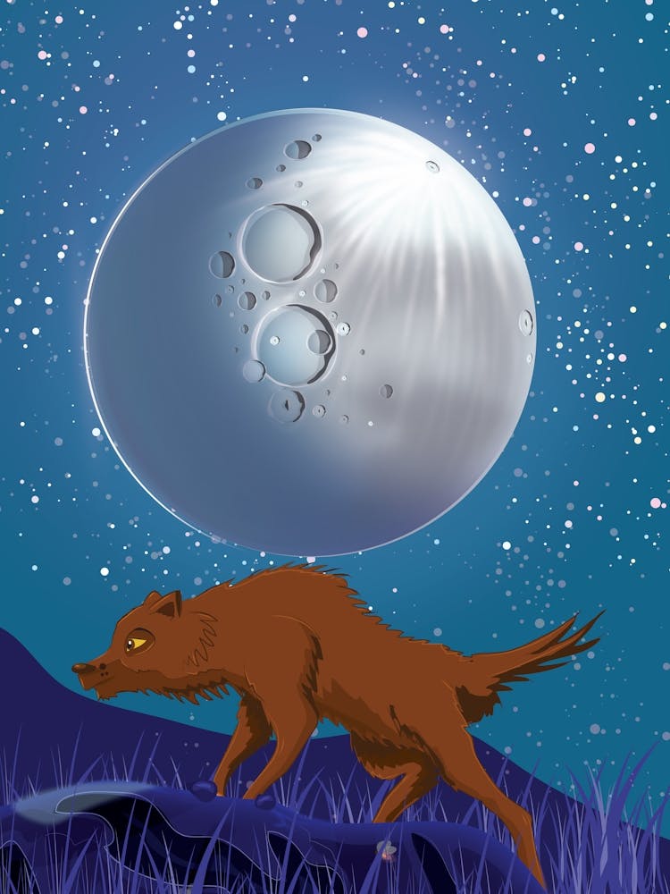 Wolf In The Moonlight
