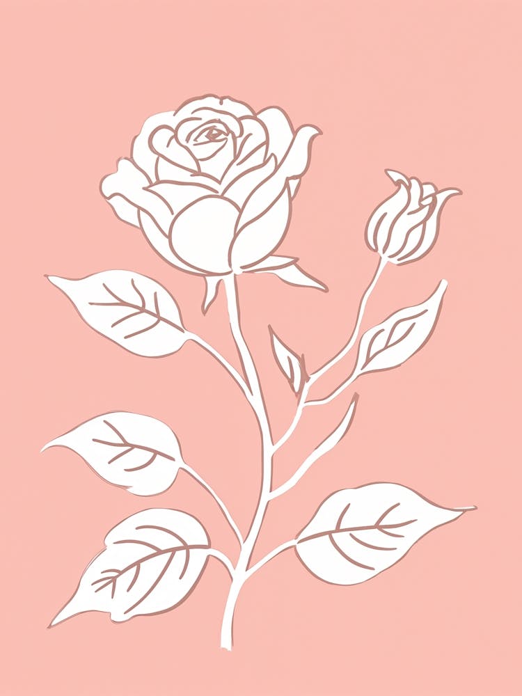 Pink Rose