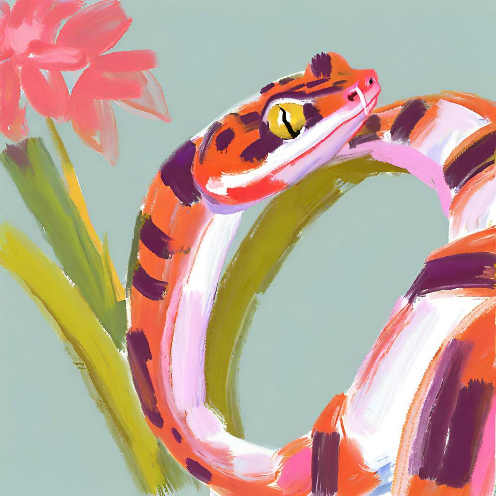 Red Tailed Boa Snake 01