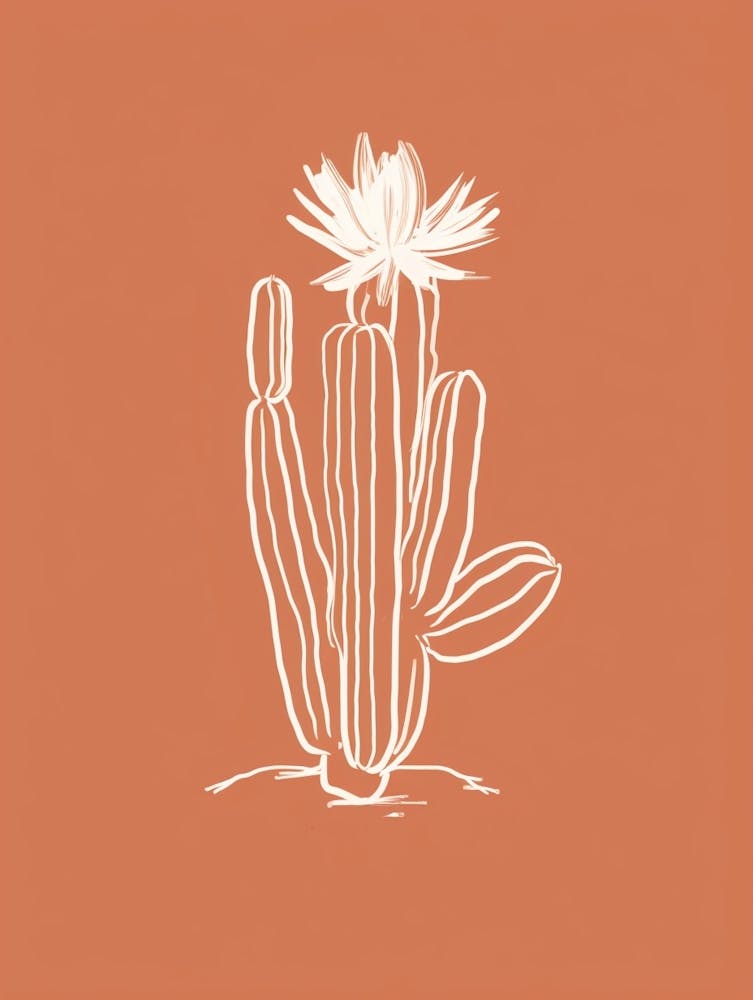 Cactus Line Drawing Acanthocalycium Cactus 2