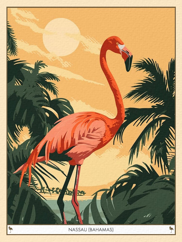 Greater Flamingo Nassau Bahamas Tropical Illustration 1 Poster