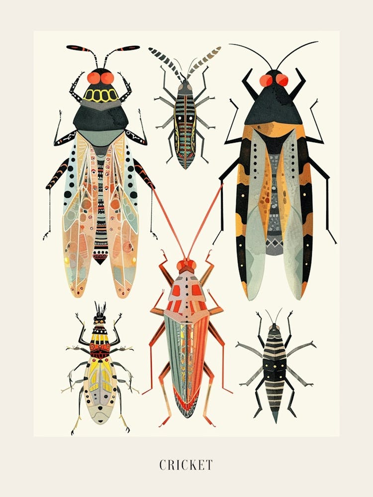 Colourful Insect Illustration Cricket 7 Poster