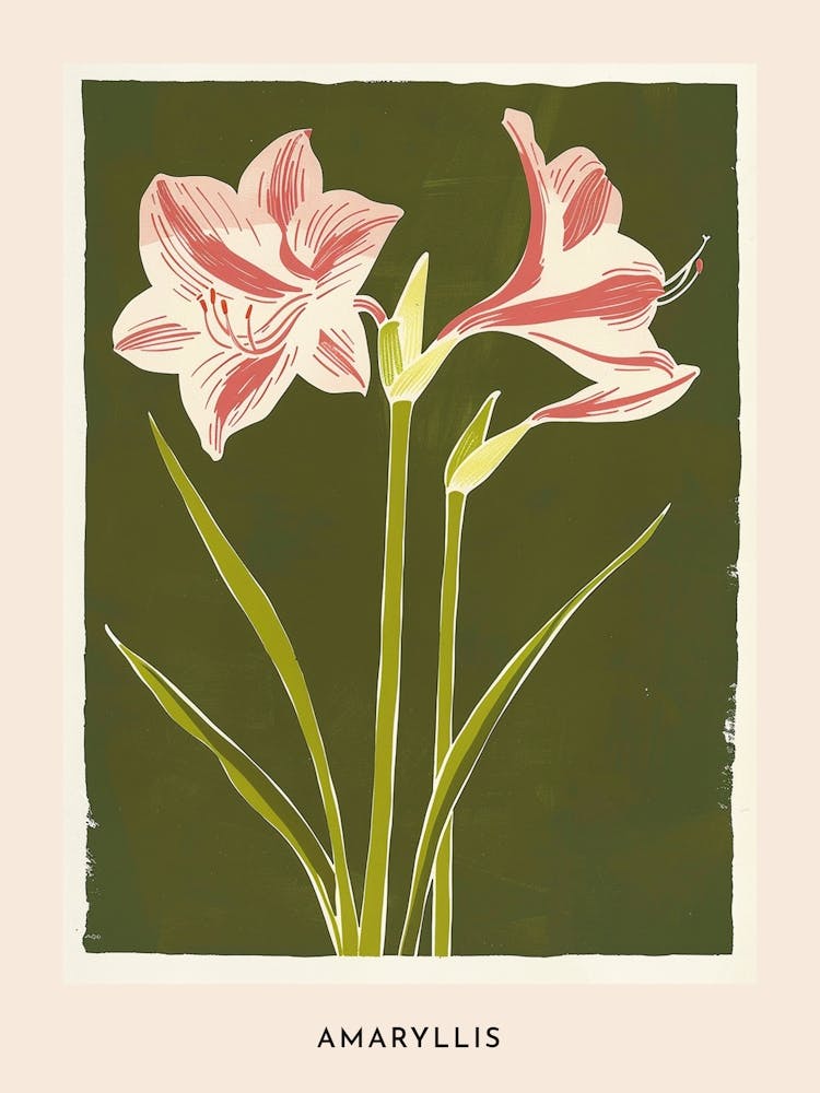 Pink & Green Amaryllis 1 Flower Poster