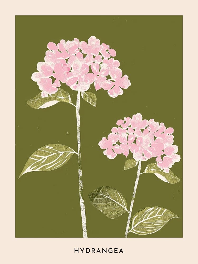 Pink & Green Hydrangea 1 Flower Poster