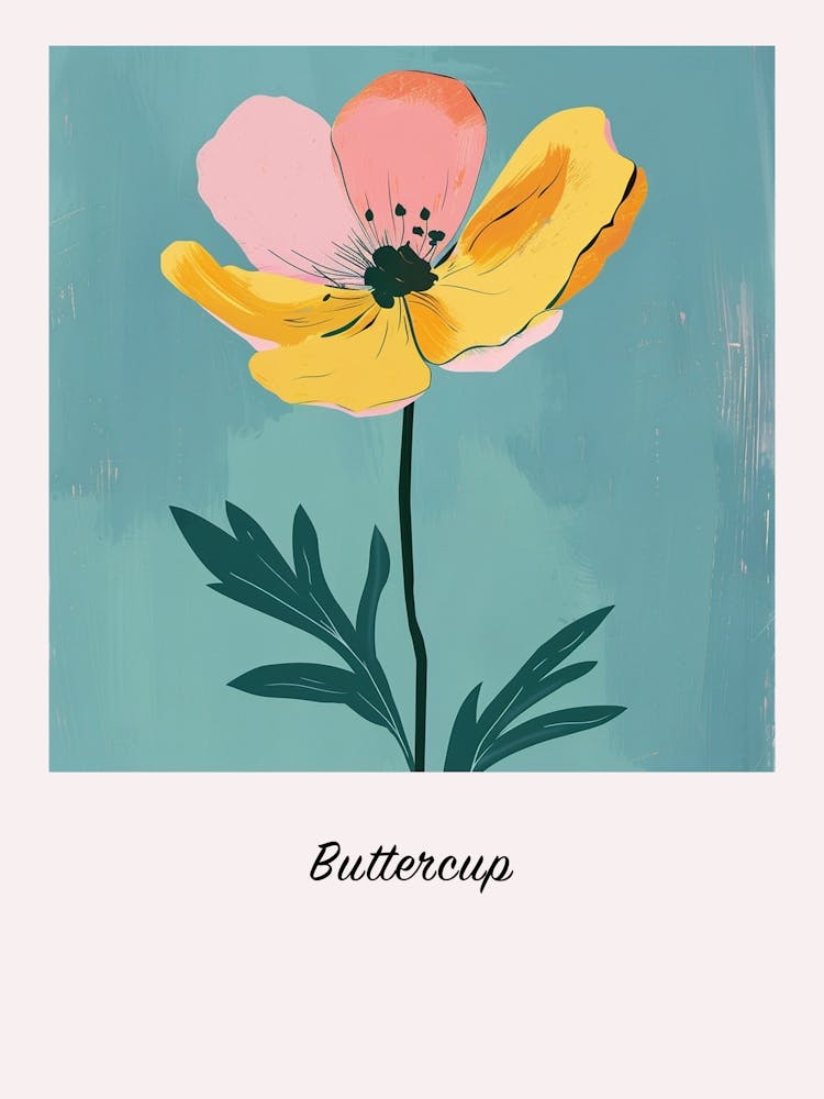 Hahnenfuß Quadrat Blume Illustration Poster